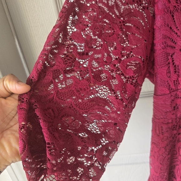 Kiyonna Women's Plus Pinot Noir Mademoiselle Lace Cocktail Dress Size 4X Red - Picture 8 of 15